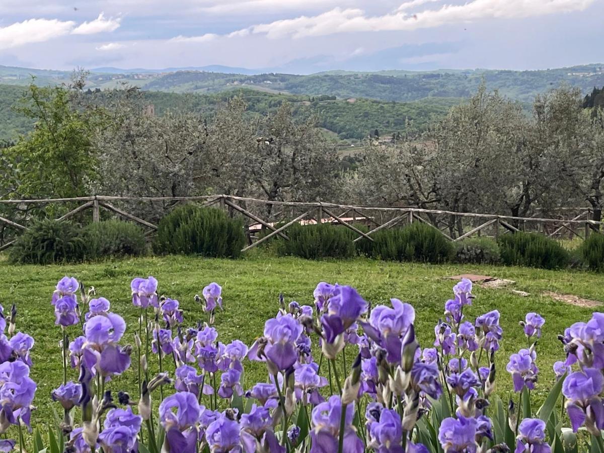 Il Fiorino Di Badia Apartment Badia A Passigano Bagian luar foto