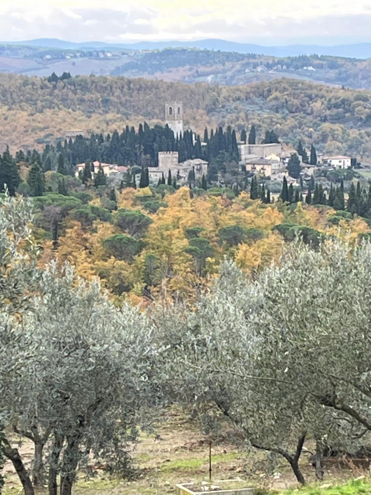 Il Fiorino Di Badia Apartment Badia A Passigano Bagian luar foto