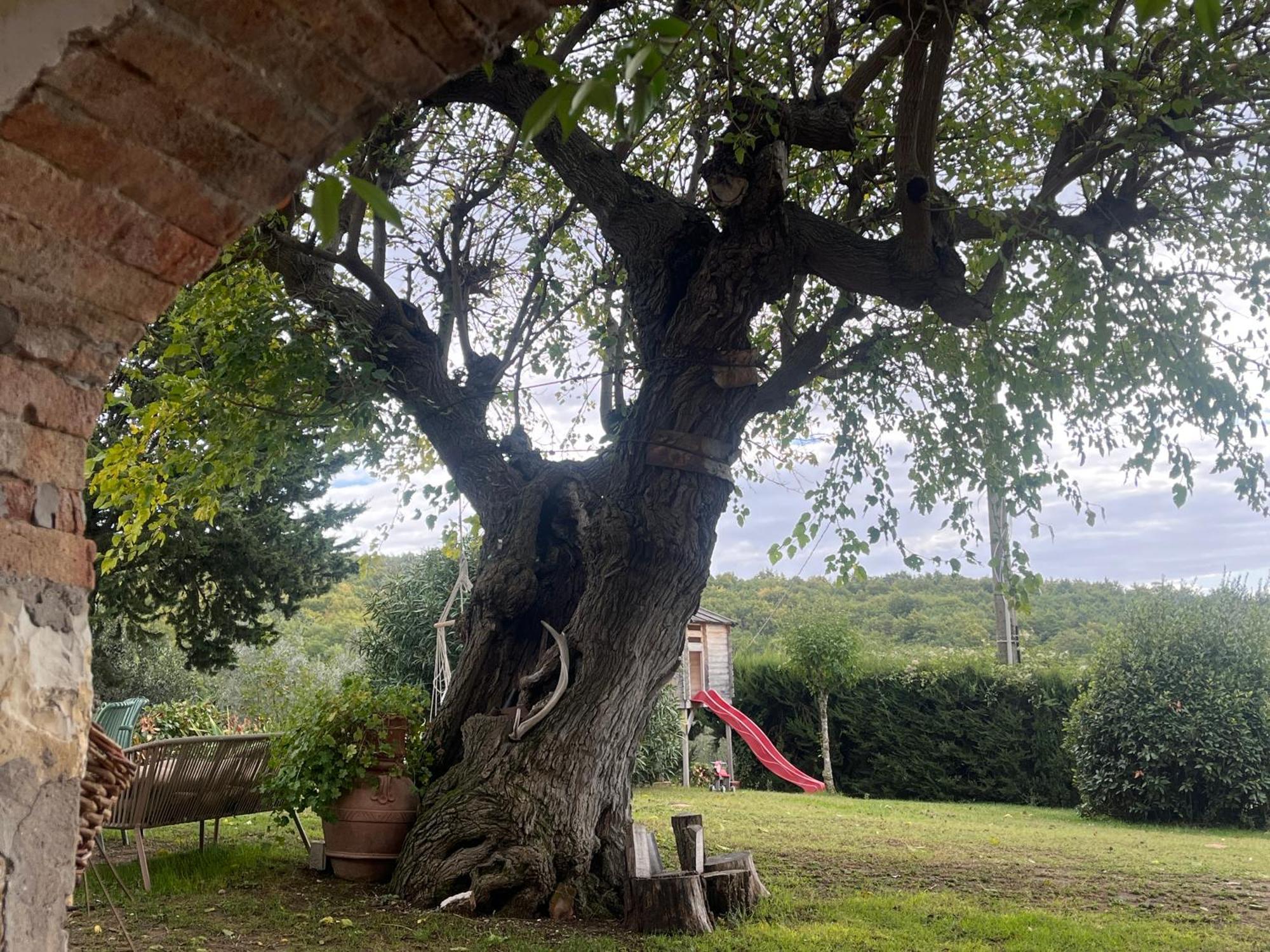 Il Fiorino Di Badia Apartment Badia A Passigano Bagian luar foto